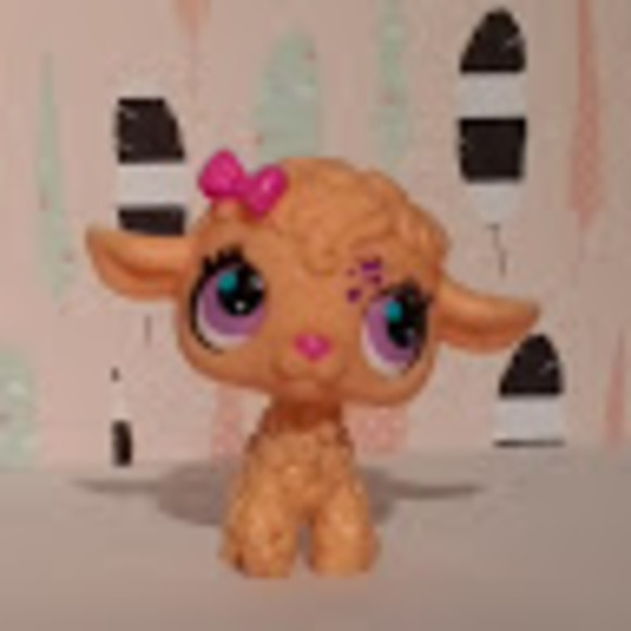 Meet your Posher, Kimberlywhatevervids - Picture 1 of 1